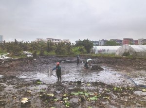 裕华河道鱼塘清淤